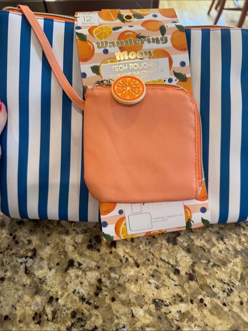 Coral and Blue Striped Tech Pouch and Wristlet